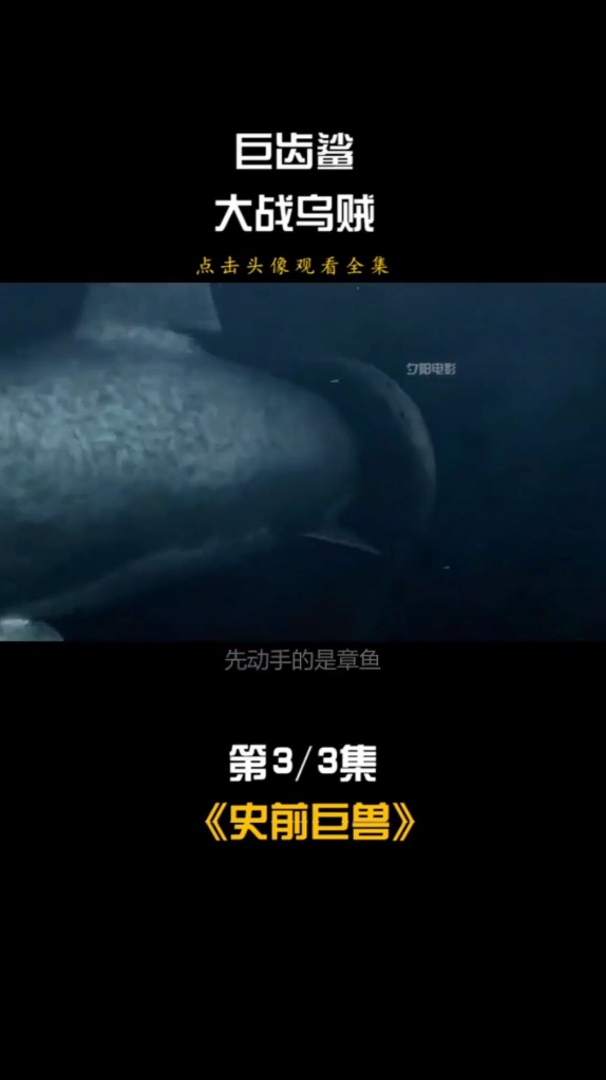 巨型乌贼和巨齿鲨