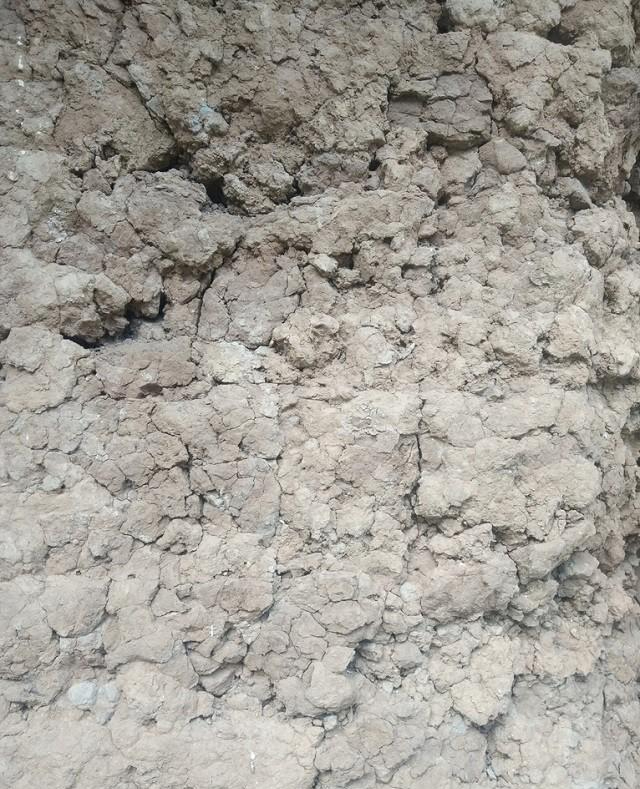 18年湖北废弃养鸡场泥土变白色,引警方怀疑,调查牵出惊天案