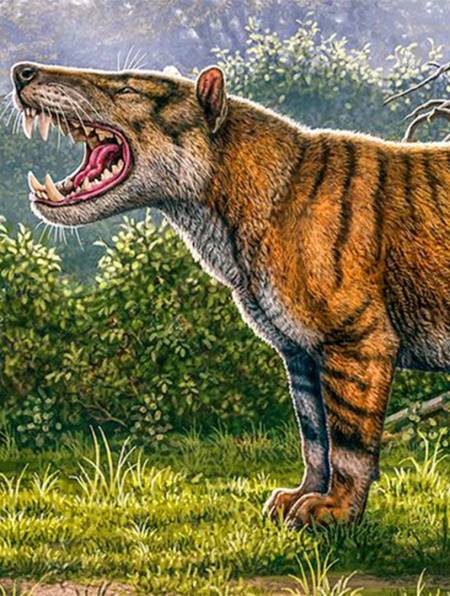 4500万年前的巨豺齿兽,陆地上的凶猛恶霸,专以巨型犀牛为食-度小视