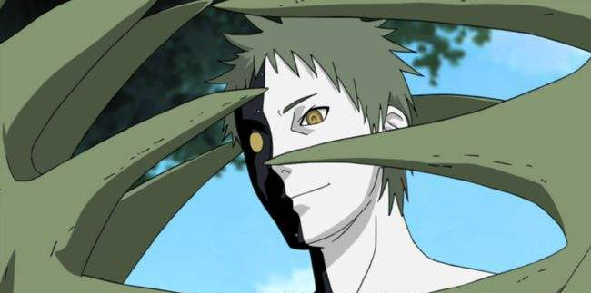 黑绝和白绝有什么关系?