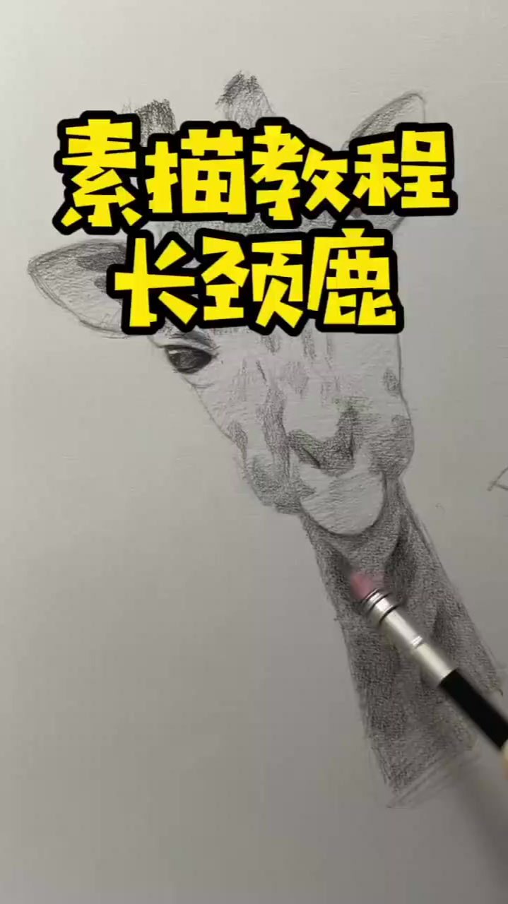 叮咚长颈鹿到了快来查收素描长颈鹿