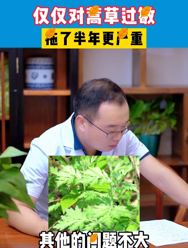 蒿草过敏图片