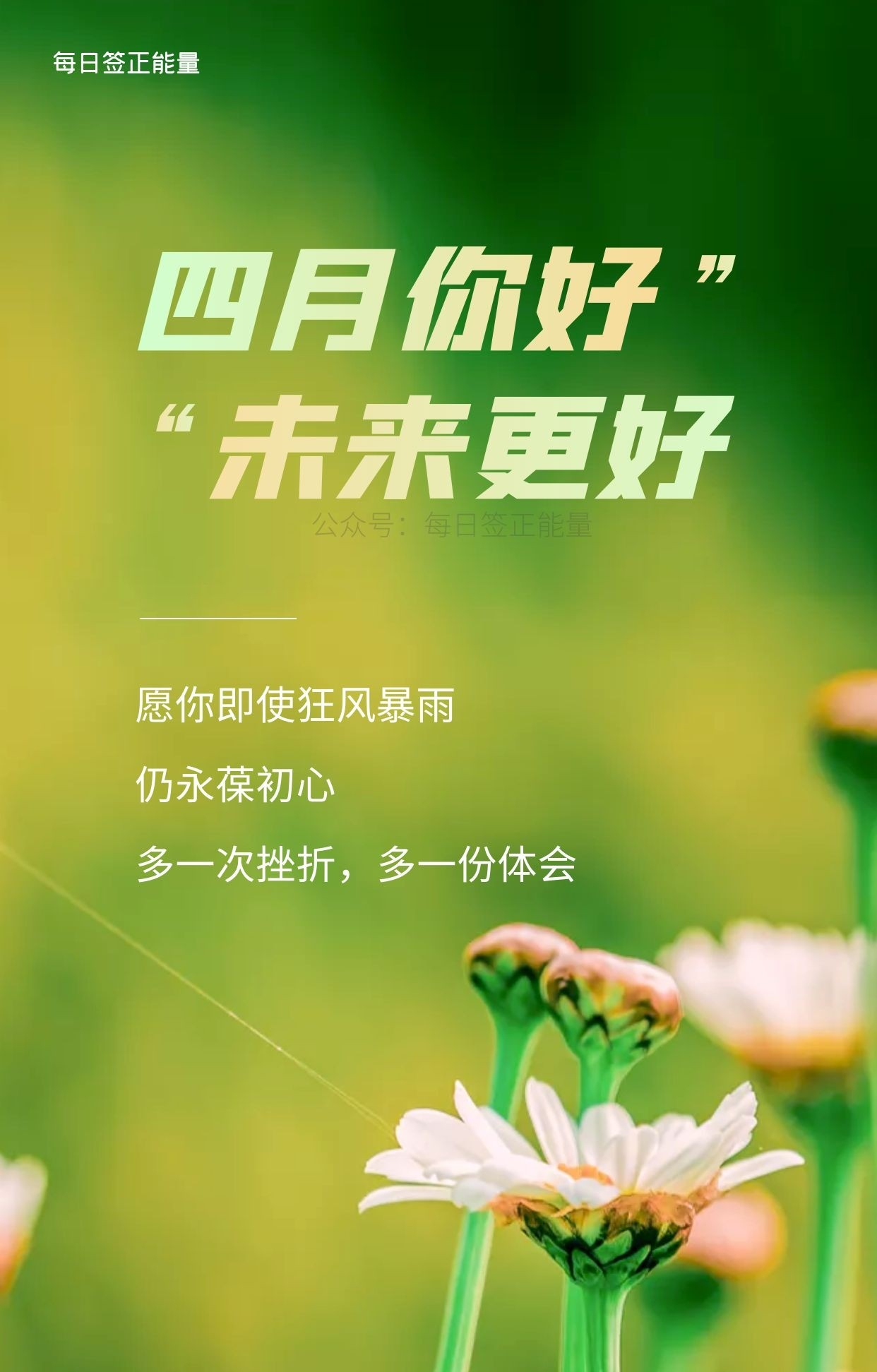 1242_1943竖版 竖屏