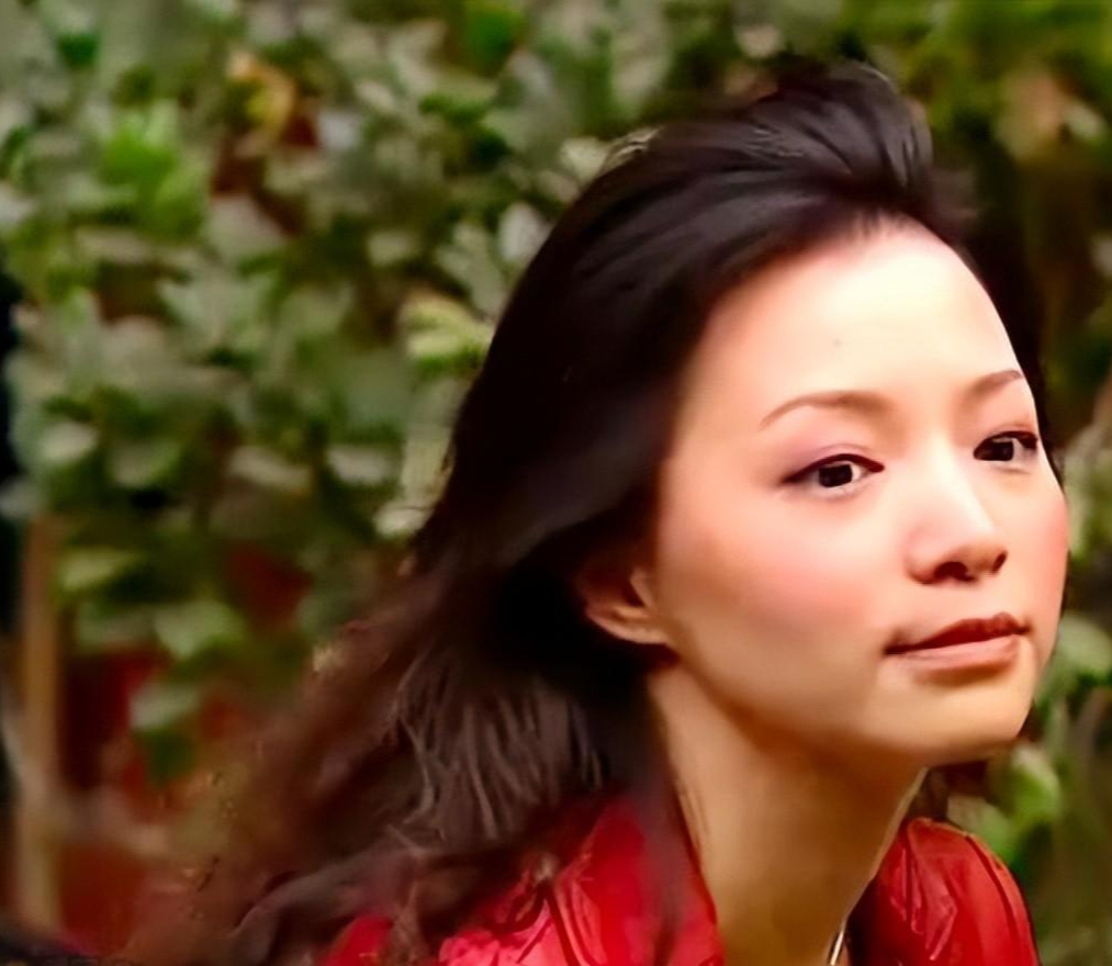 回顾事实证明消失的央视一姐董卿已经走上另一条大道