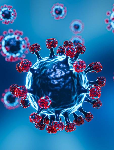 2000多亚变体,奥密克戎将变异成怎样?我们梳理了新冠病毒族谱1-度小视