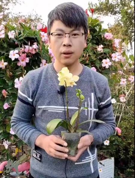 2022-09-2310园艺牛哥3.38万粉丝  关注东北酸菜这样腌又酸又脆6.