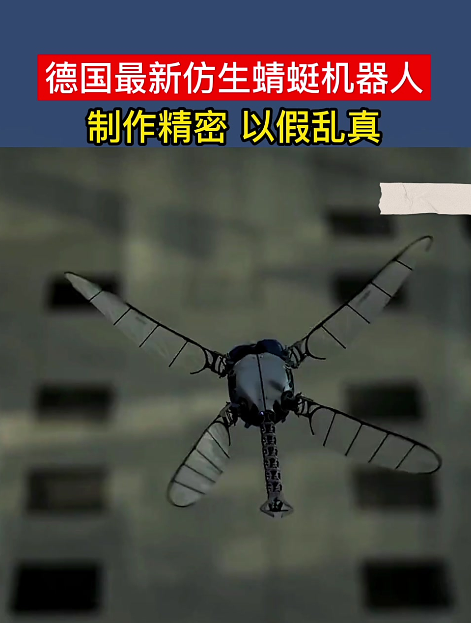 德国最新仿生蜻蜓机器人!制作精密!以假乱真!-度小视