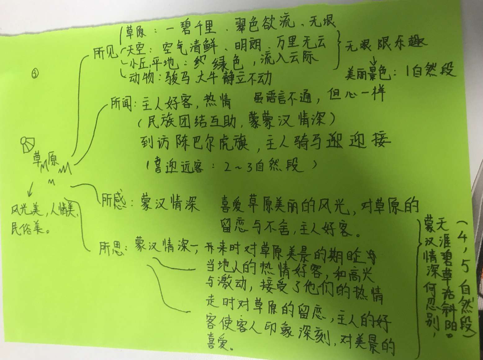 借助思维图,梳理六年级上册第1课《草原》文章脉络