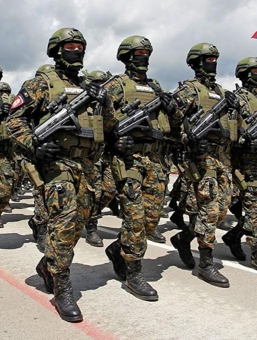 塞尔维亚军队已进入最高战备状态,军队向科索沃方向开拔