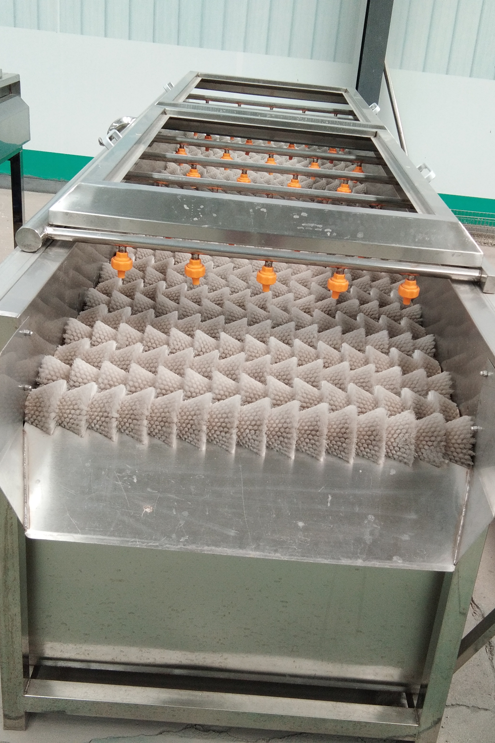 软硬毛辊去皮清洗机 猪头羊头猪蹄子毛辊清洗机