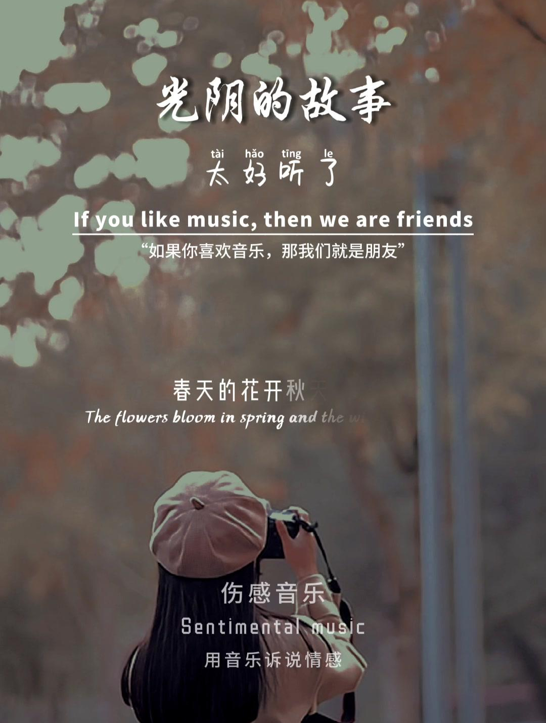 光阴的故事,越听越好听的歌 音乐 经典老歌 翻唱 光阴的故事