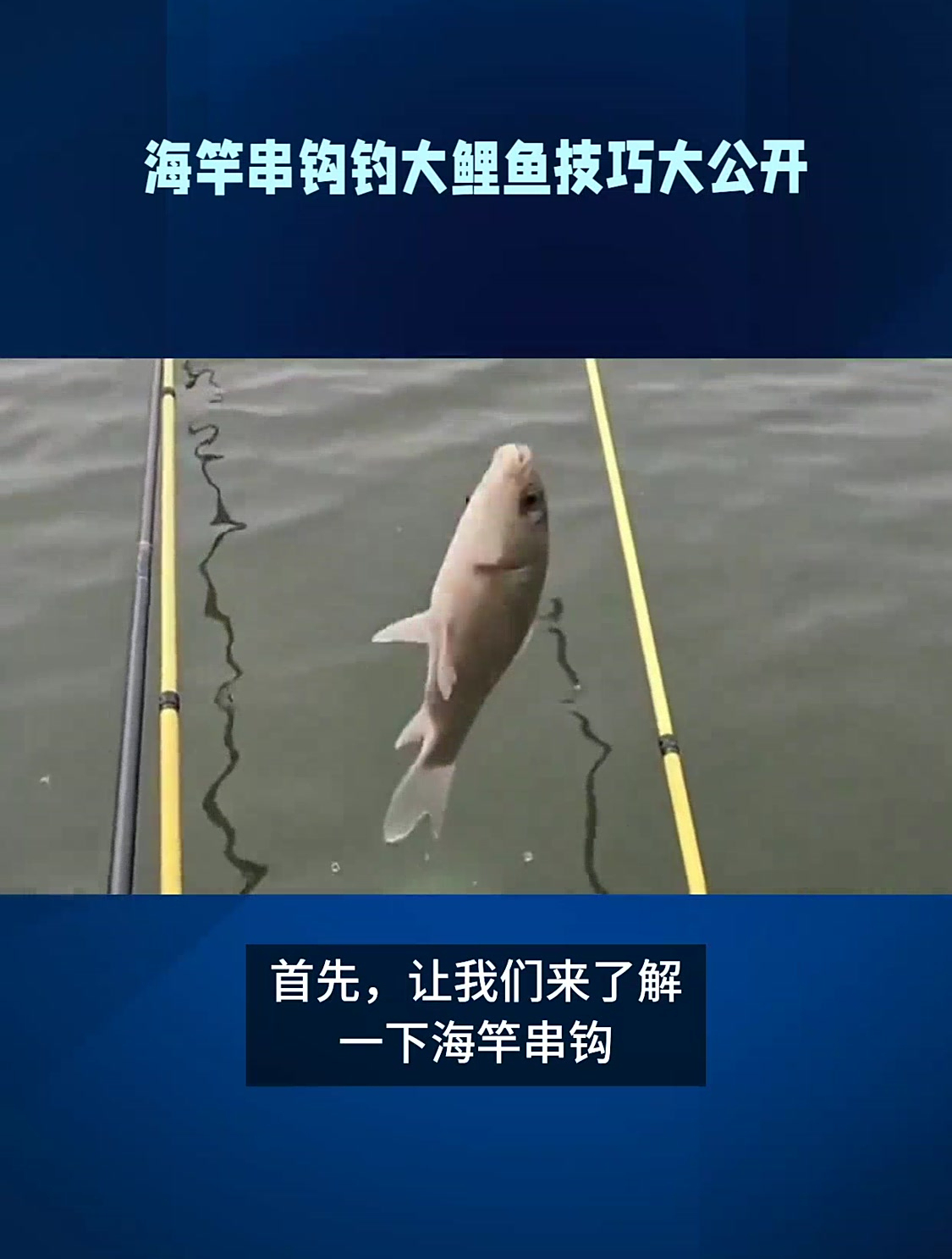 海竿串钩钓大鲤鱼技巧大公开
