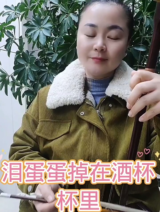 《泪蛋蛋掉在酒杯杯里》52弦,二胡演奏