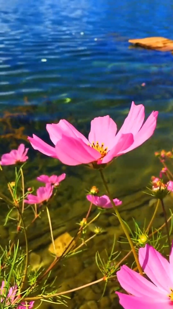 治愈风景:闭上眼睛用心聆听大自然的声音能够缓解情