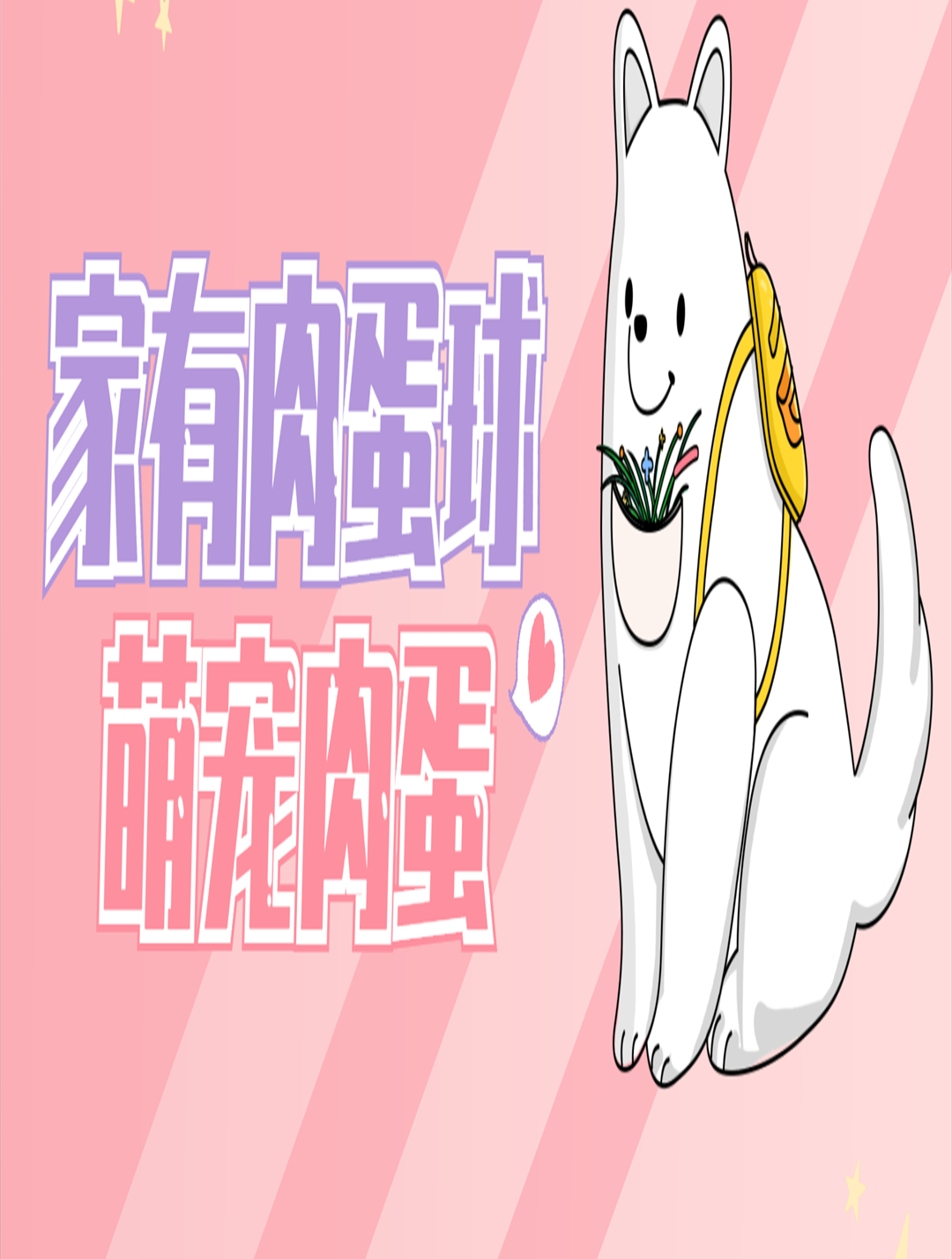 本人龙肉球主人,胸椎骨折卧床29天,这玩意就开始欺负我-度小视