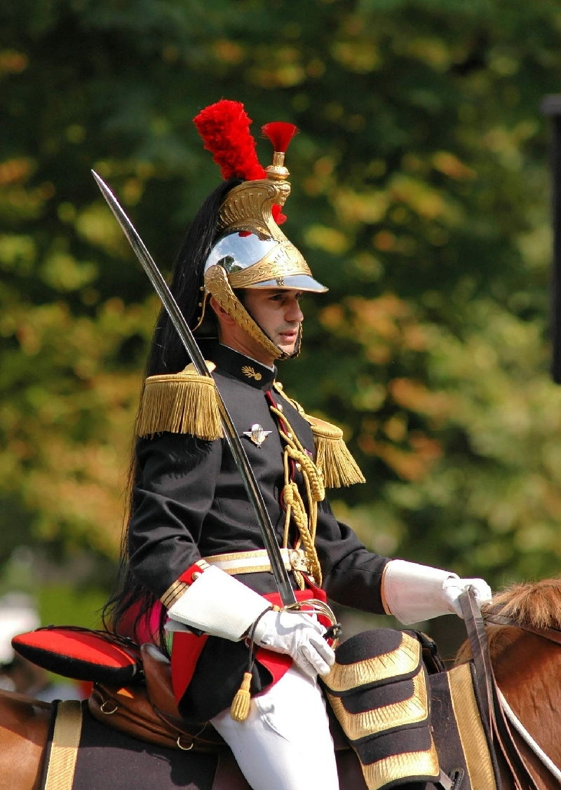 扭转困境:关于法国骑兵在对外战争中的影响与作用