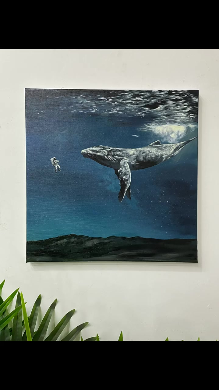 图里的鲸鱼是世界上最孤独的鲸鱼alice