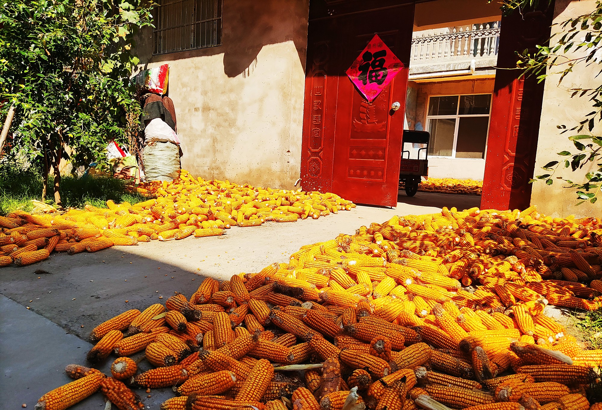 农业专家曾提出,农村潜在新商机,解决农民公路晒粮食"顽疾"