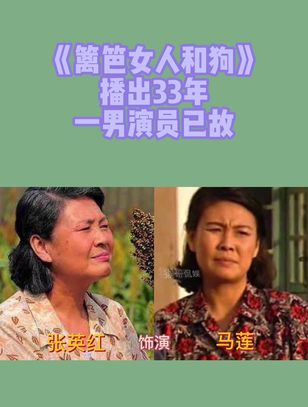 篱笆女人狗电视演员表图片