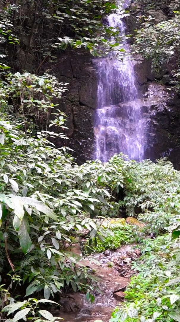 山间里小溪流水潺潺聆听大自然的声音云南省临沧市凤庆县溪水