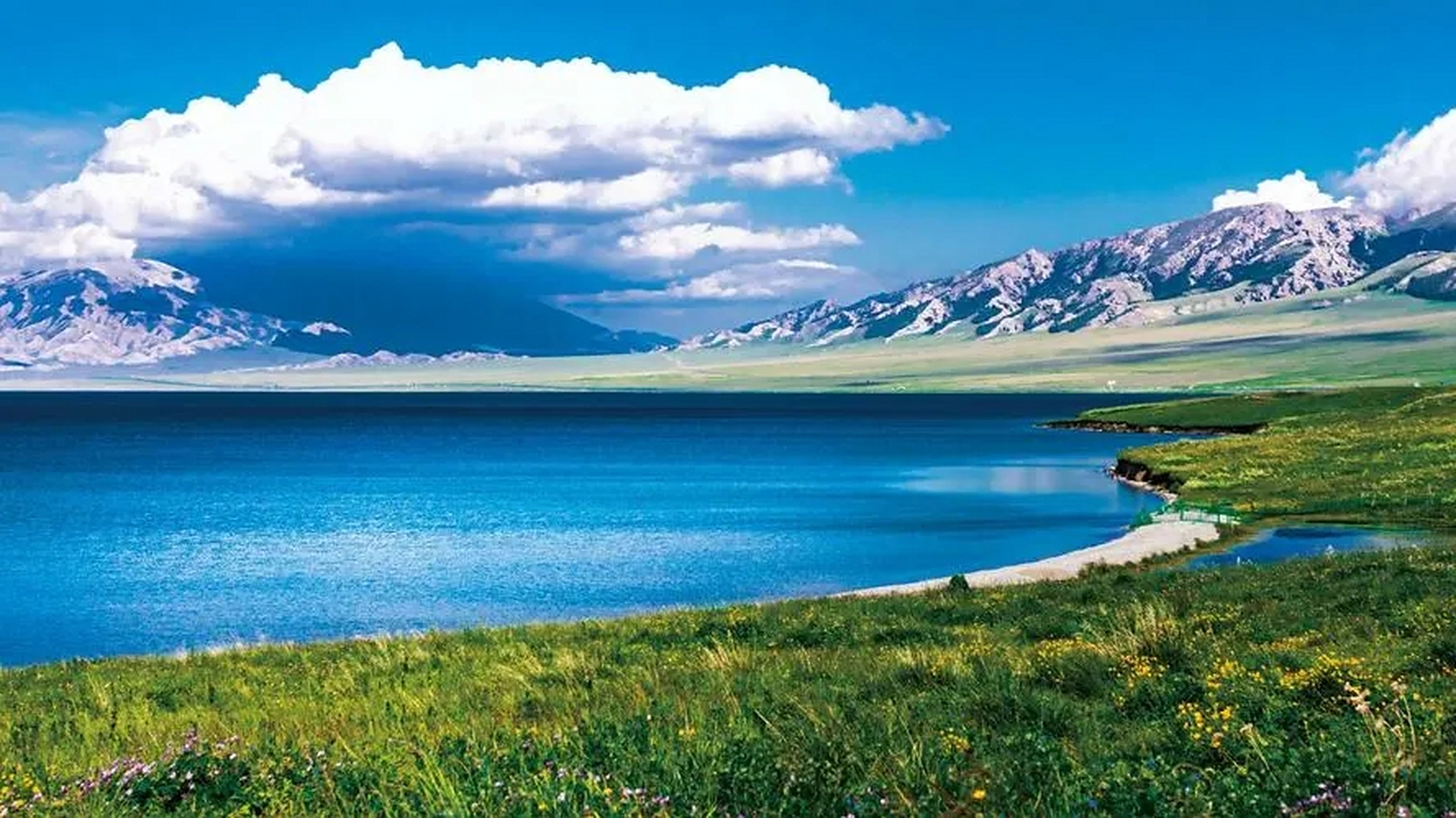 新疆话"哈亚木"源于7世纪,用于表达不满意或不赞同,被视为粗俗,不礼貌