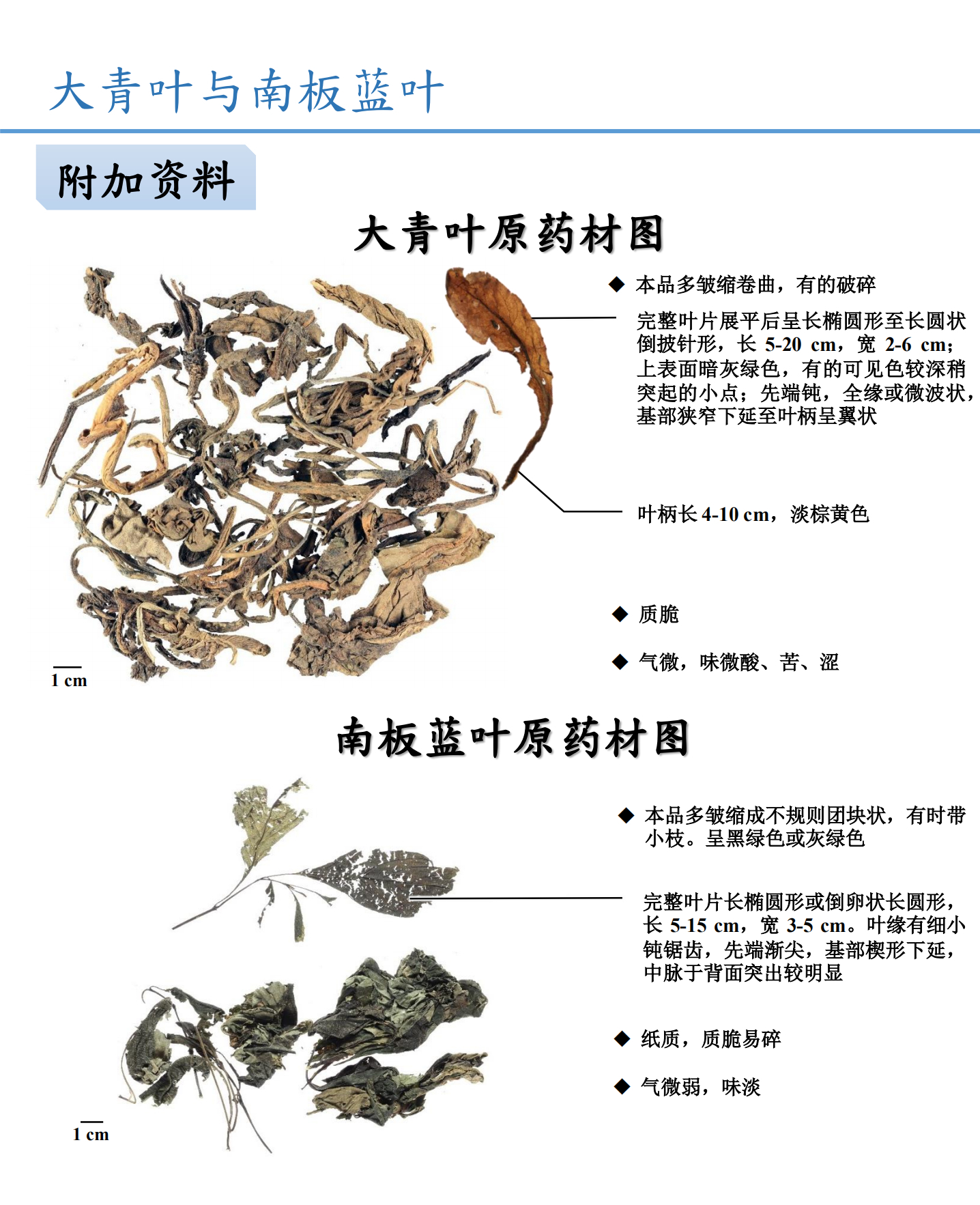 大青叶与南板蓝根鉴别