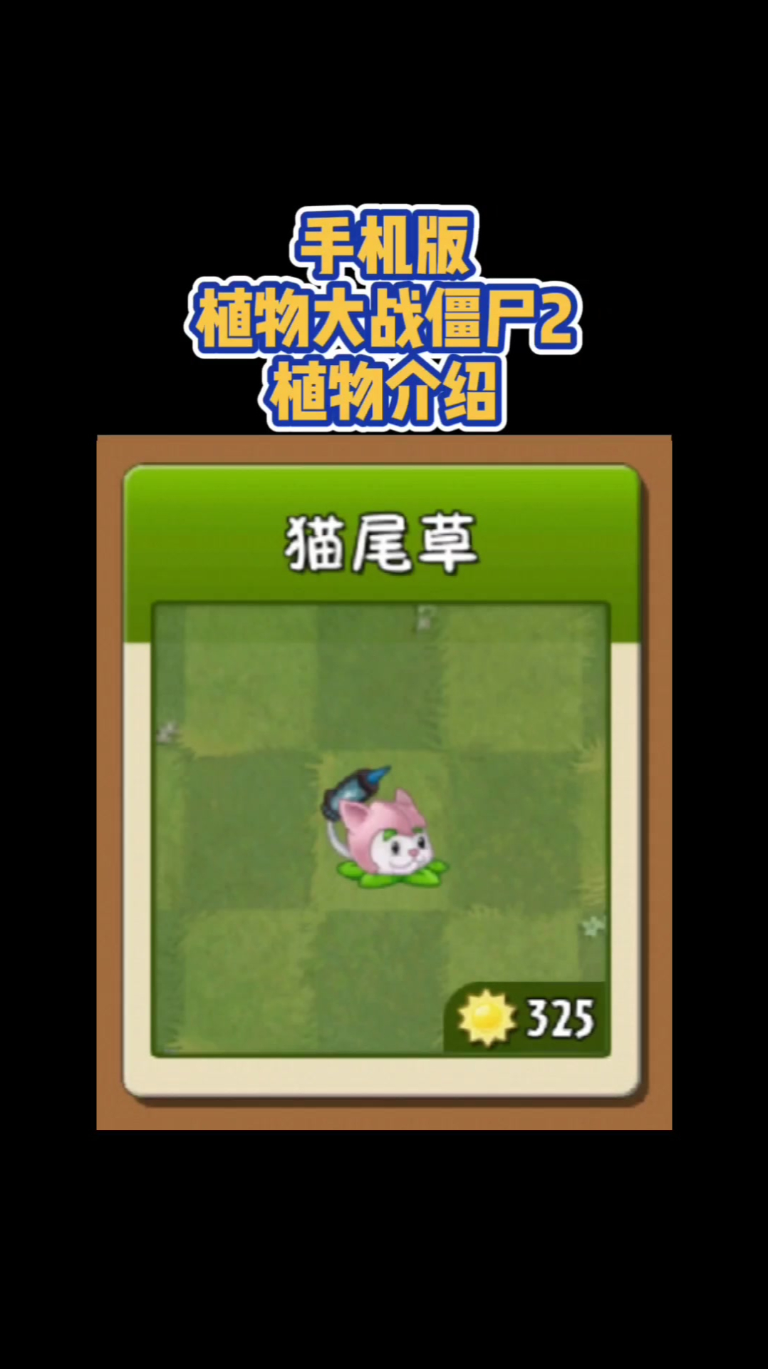 植物大战僵尸植物介绍猫尾草