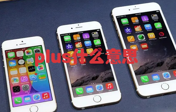 plus什么意思