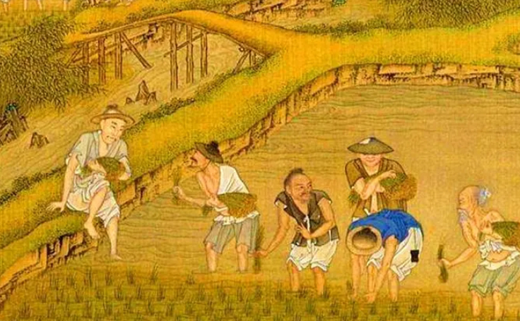 古代南方耕作,为什么叫"火耕水耨"?齐梁时期农业又有何发展?