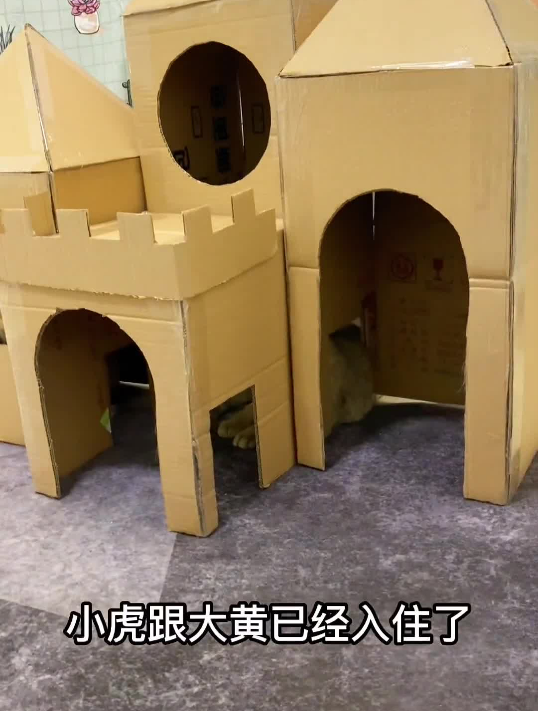 纸箱玩具 猫窝制作 猫咪玩具diy 猫玩具 98