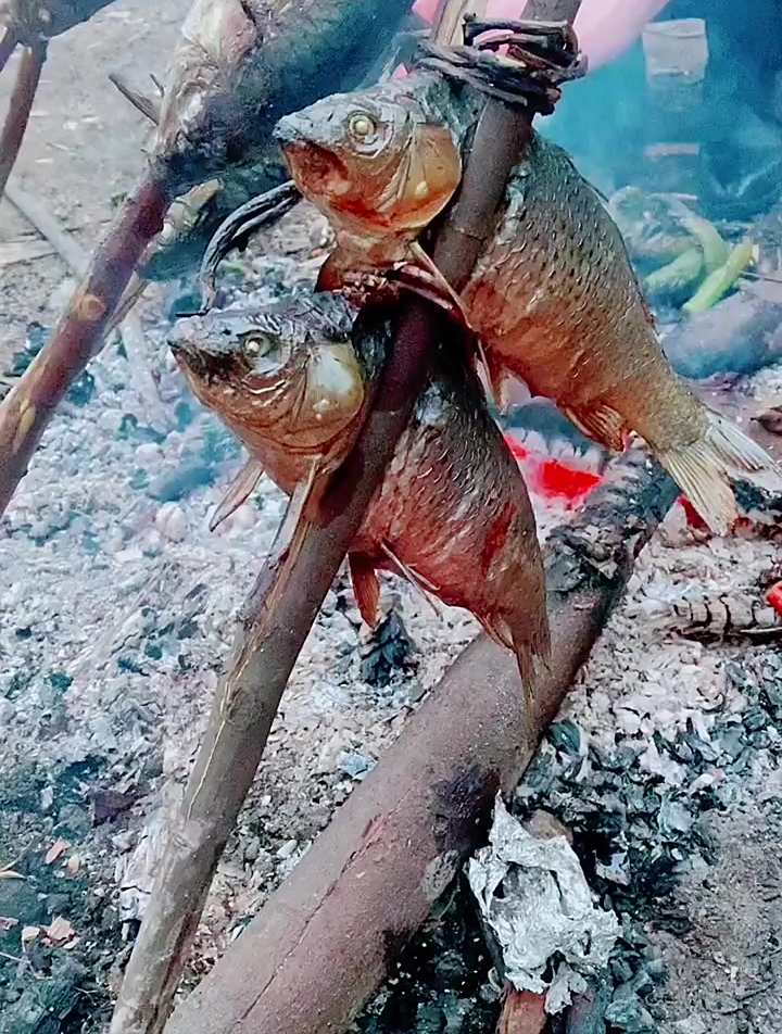 家乡野味菜香椿芽,这是我们大山里农家土特产火烧鱼-度小视