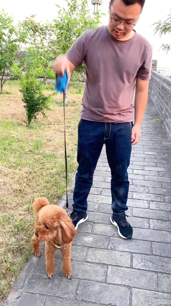 用好牵引绳人遛狗用得不好嗯狗遛人