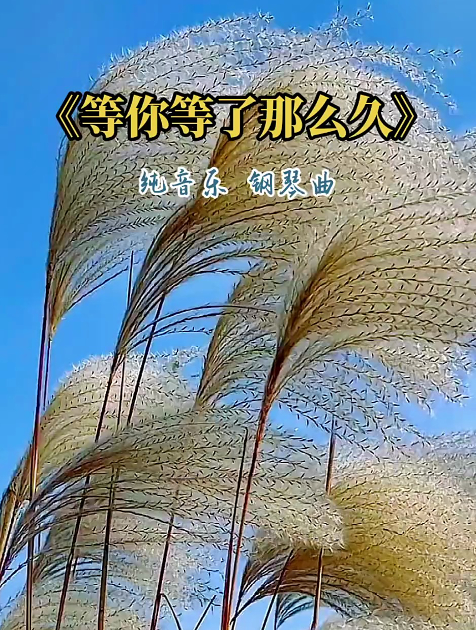 等你等了那么久纯音乐 钢琴曲