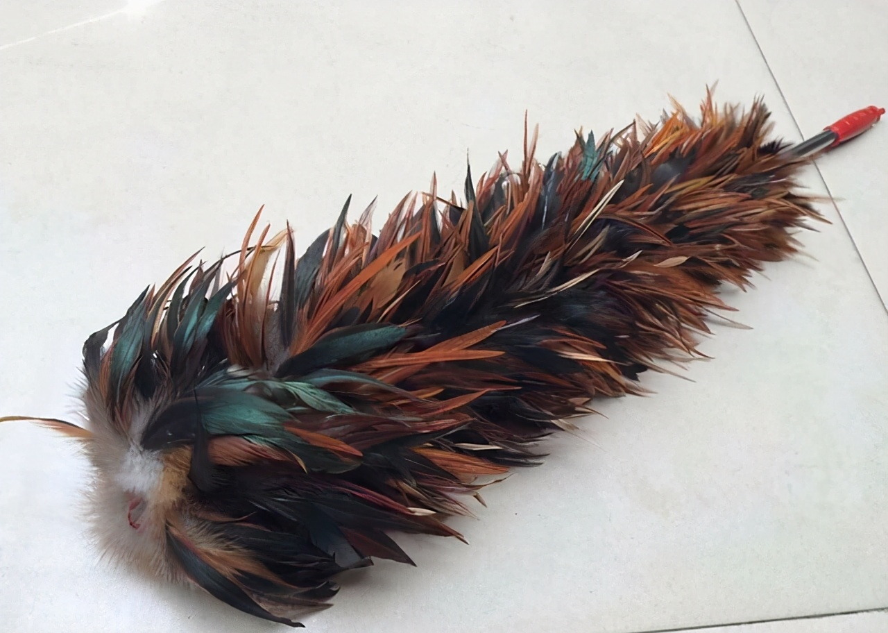 除尘的鸡毛掸子