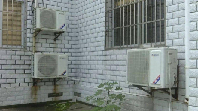 2005年浙江10岁男童因串门被分尸煮熟黑狗携断手敲被害人家门