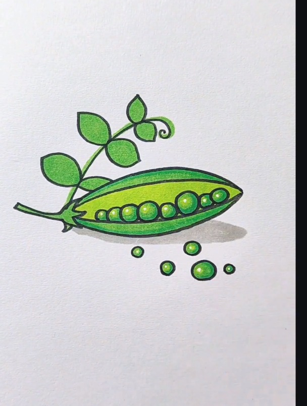 可爱的小豌豆怎么画图片