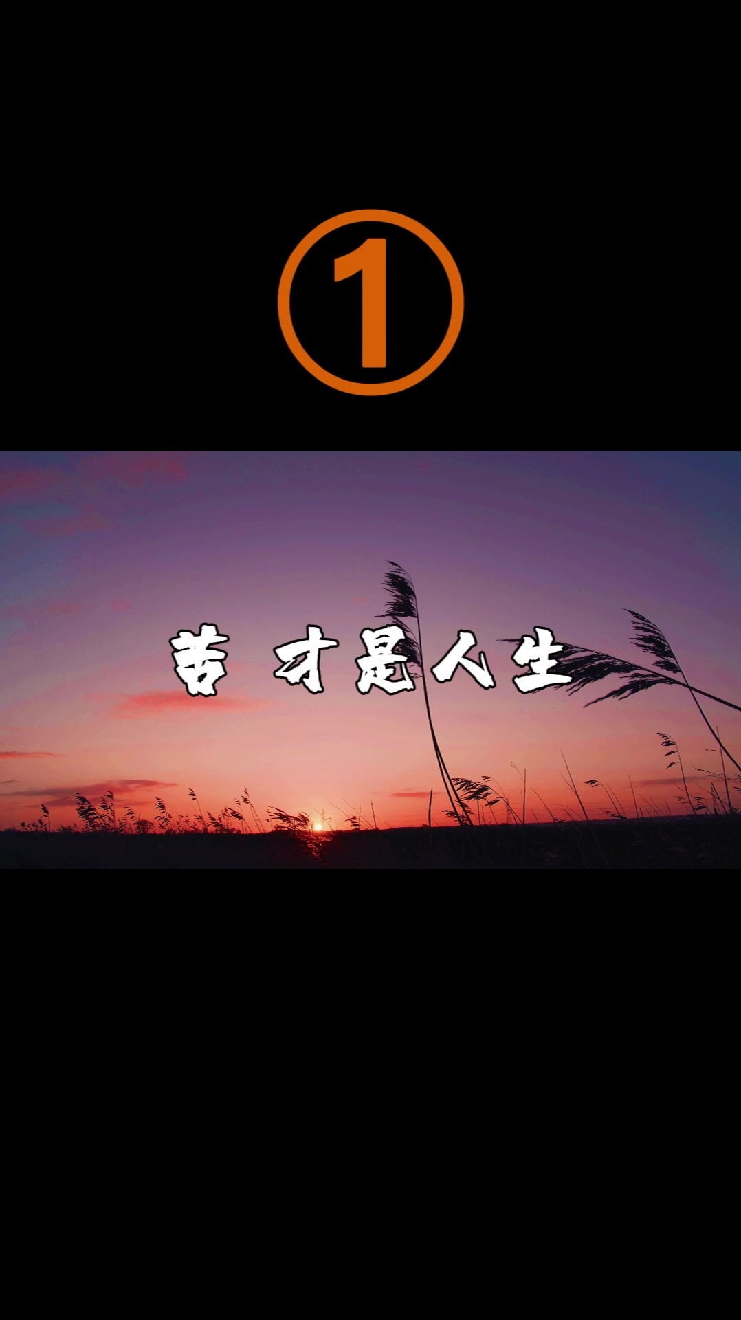 所谓人生,就是如此"艰难",调整好心态,整装待发!