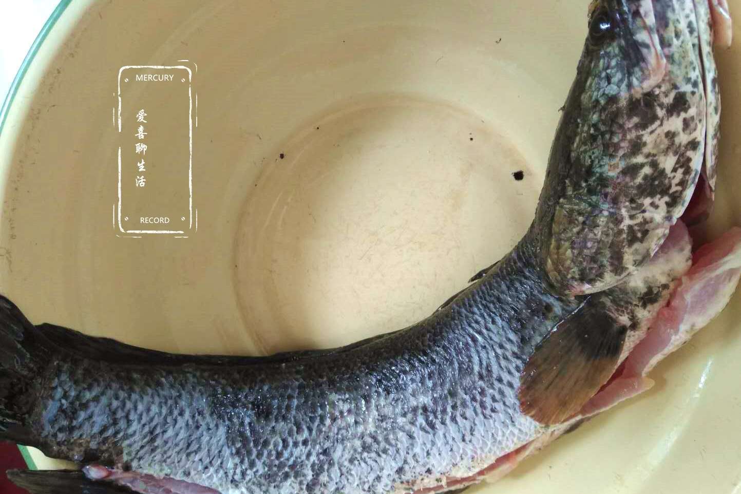 大厨不外传的黑鱼去骨去刺方法,3分钟完成,再也不用担心鱼刺了