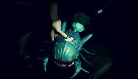 《盗墓笔记》云顶天宫中的"人面鸟"到底是什么?