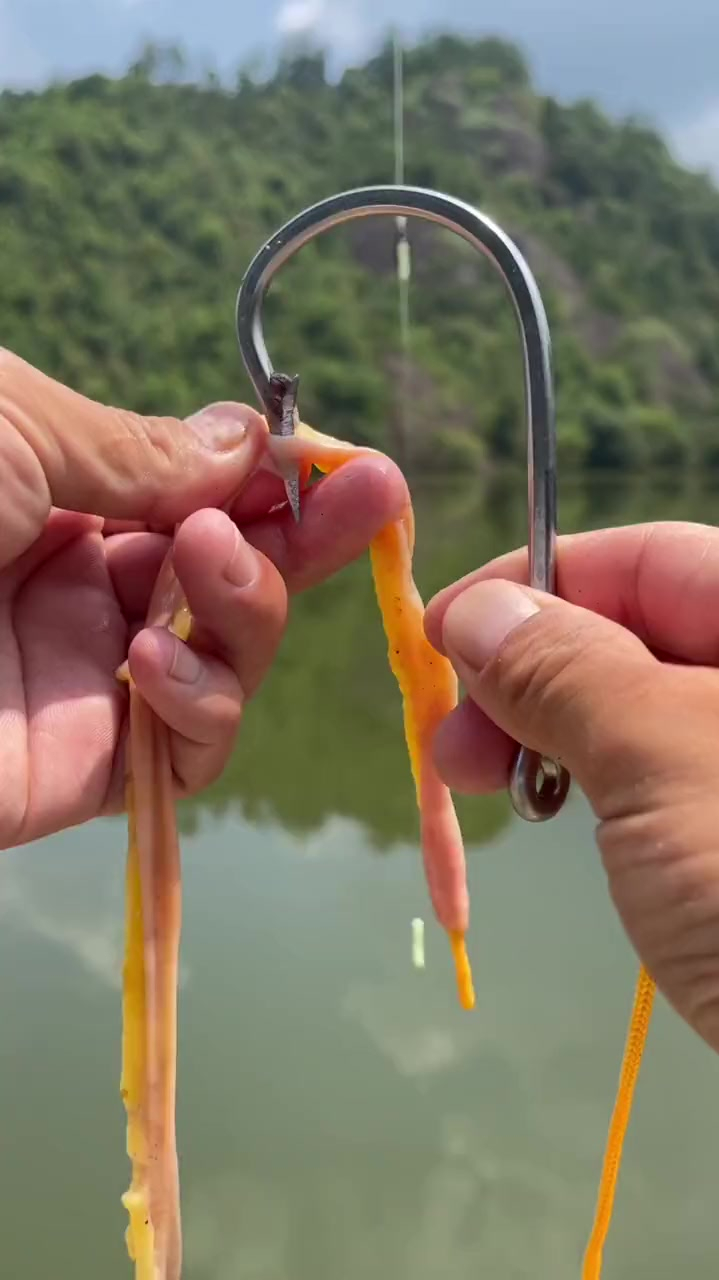 钓大物 鸡肠钓大鱼