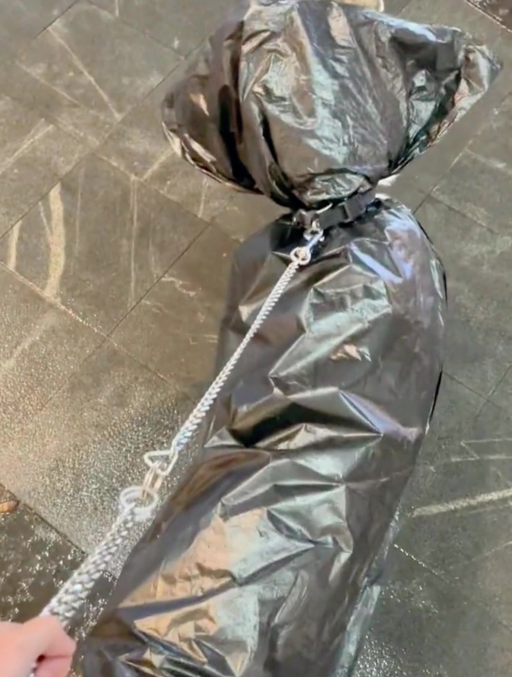 突然下大雨,奶茶店借了个大号垃圾袋,这披风无敌了-度小视