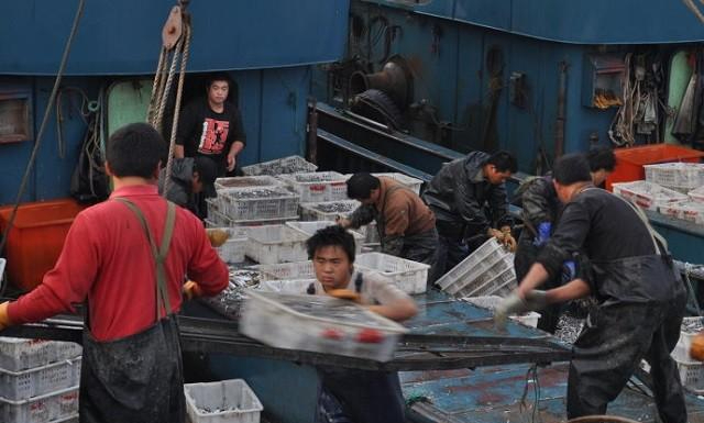 回顾:"鲁荣渔2682号"惨案:22名船员遇害,主使却是27岁小伙