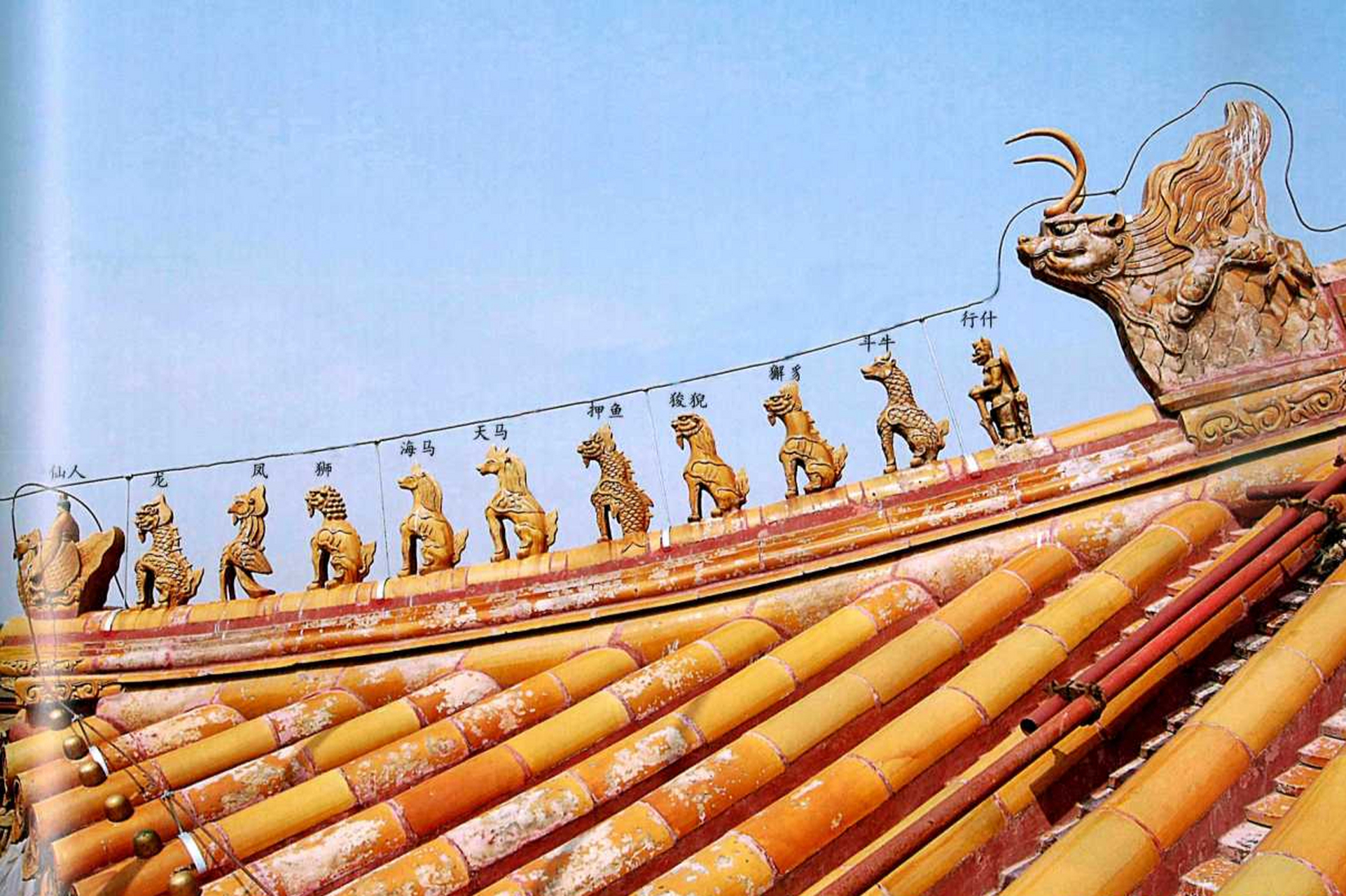 通过了解脊兽的含义,我们可以更好地理解中国传统建筑的文化内涵和