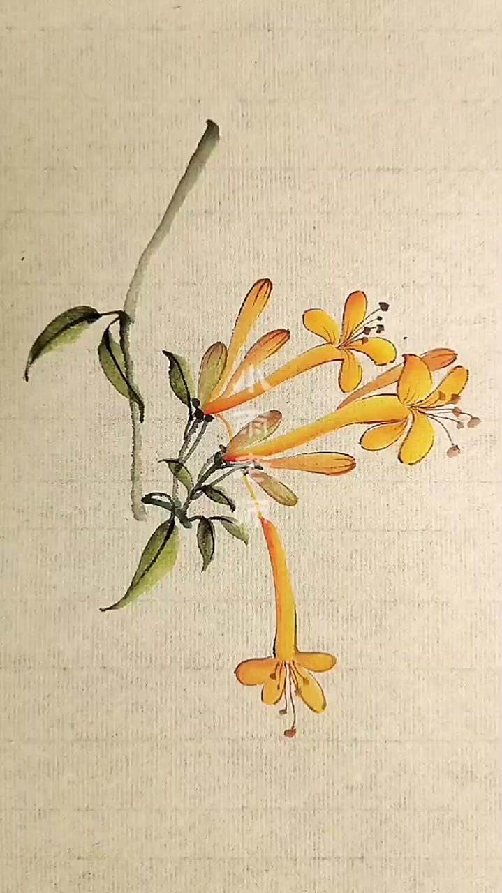 吉祥喜庆欣欣向荣国画花鸟炮仗花