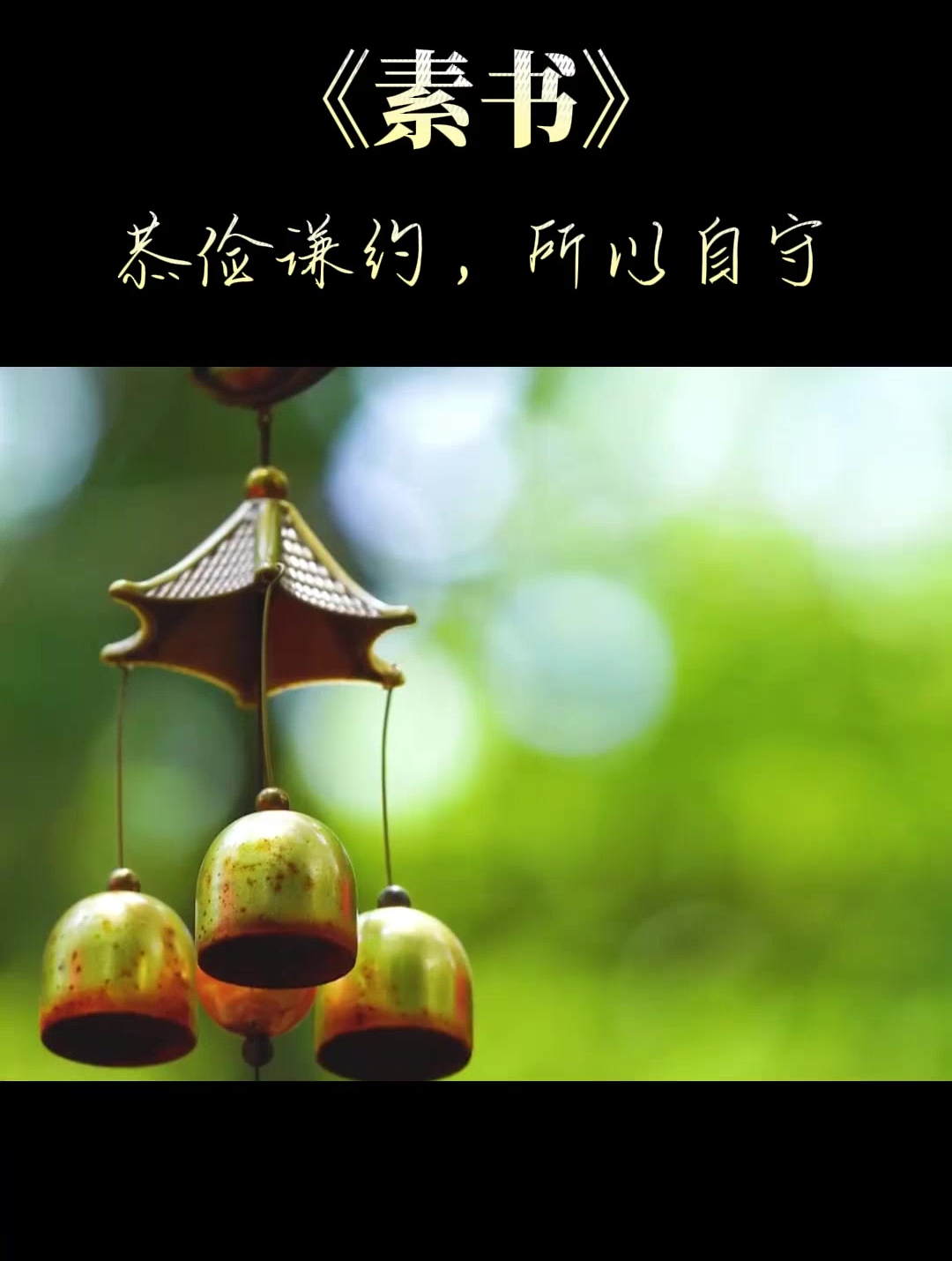 恭俭谦约所以自守你会怎么理解呢