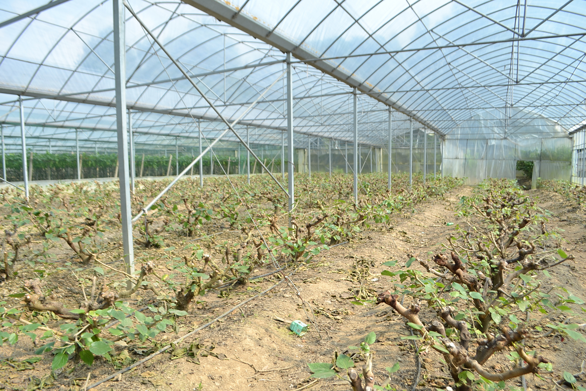 决定树枝粉碎机价格的主要因素 品牌和型号:不同品牌和型号的树枝粉碎