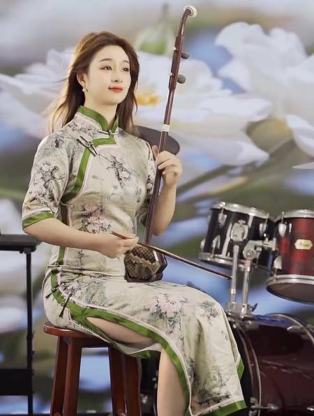 二胡演奏好一朵美丽的茉莉花