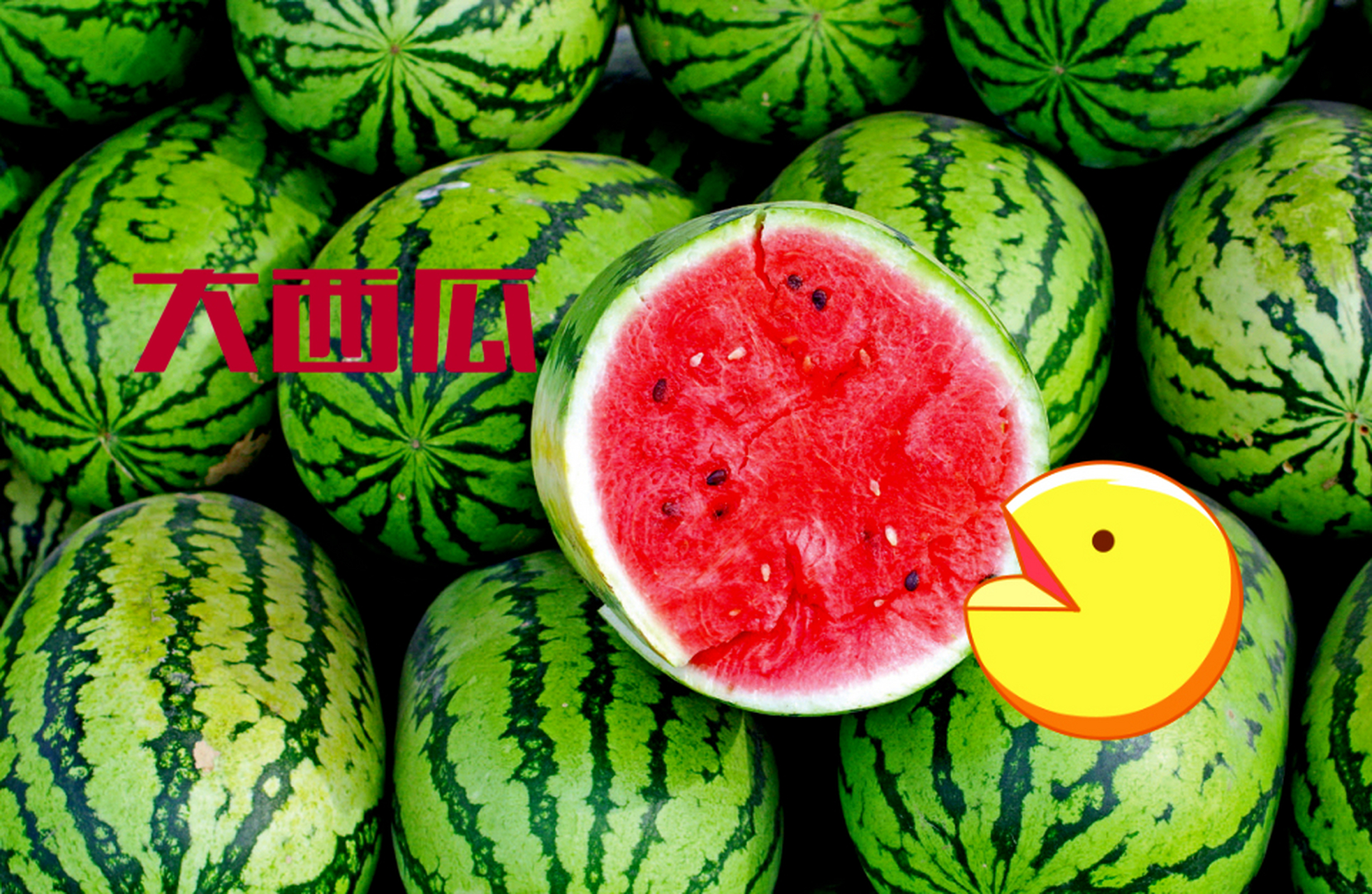 ①大西瓜,它甘甜多汁,解渴生津,清热利尿,仿佛是上天为人类安然度夏