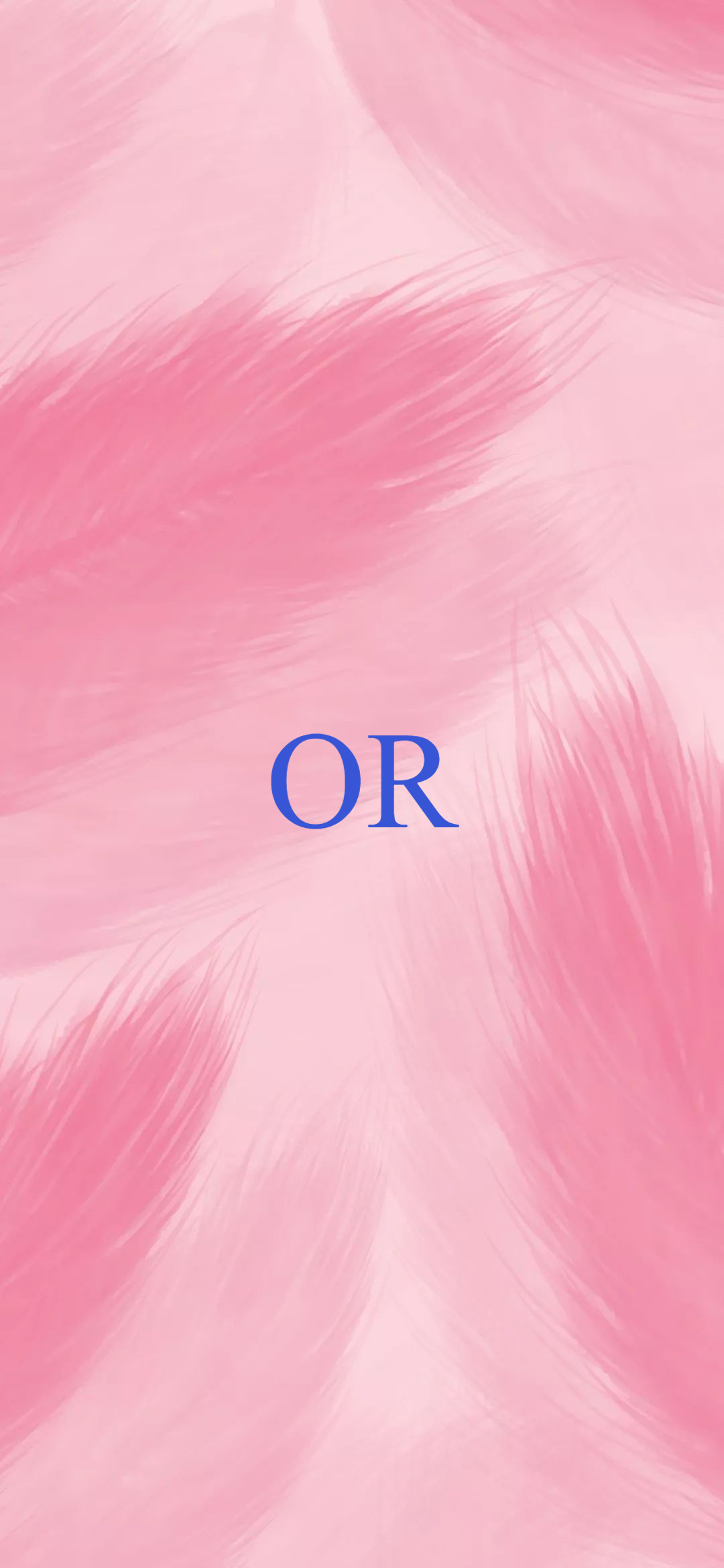 or的三种发音的单词