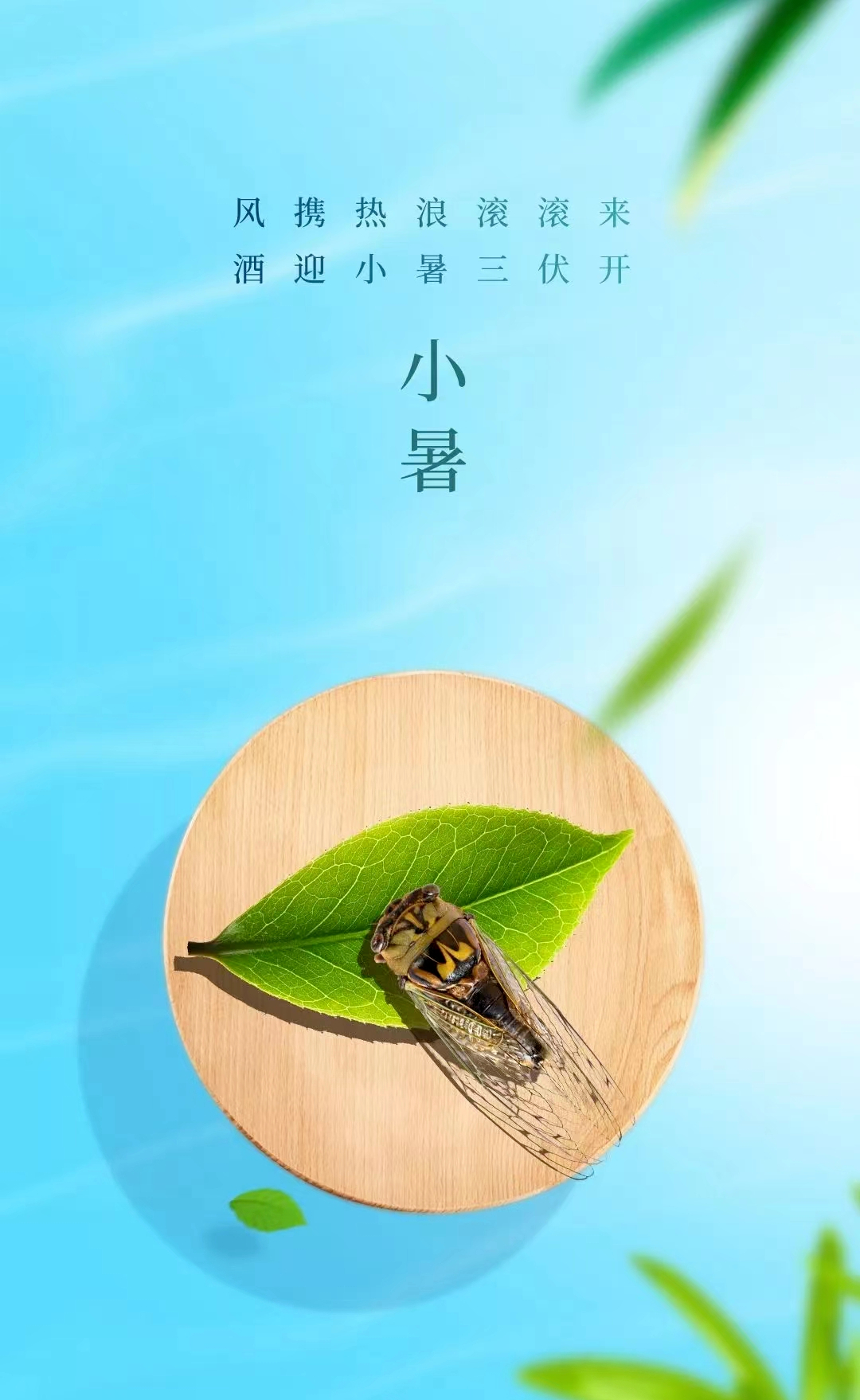 可复制的小暑文案及借势海报|觅一夏清凉,享一刻浪漫